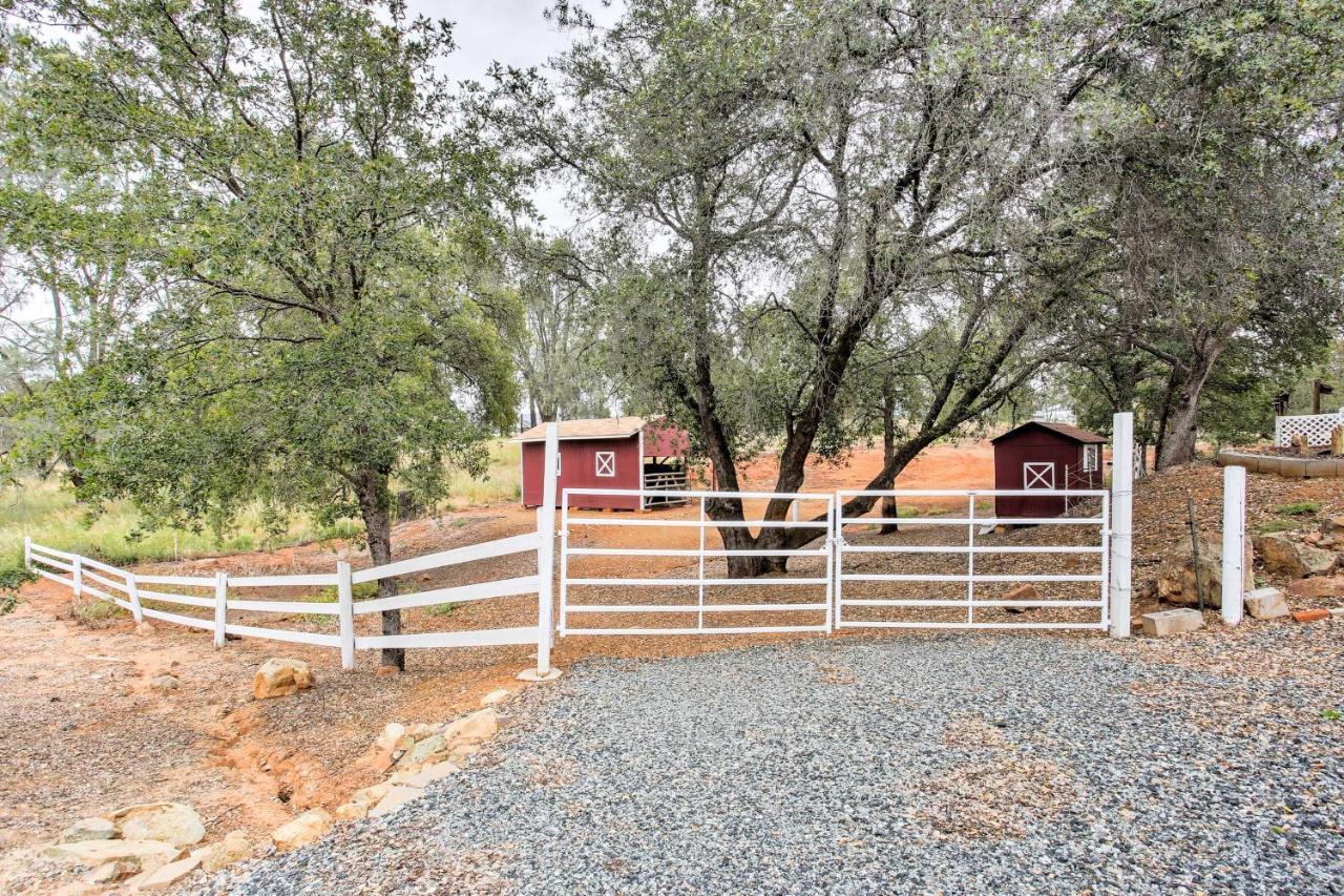 Peaceful Serenity Ranch - Day Trip To Yosemite! Coulterville Buitenkant foto